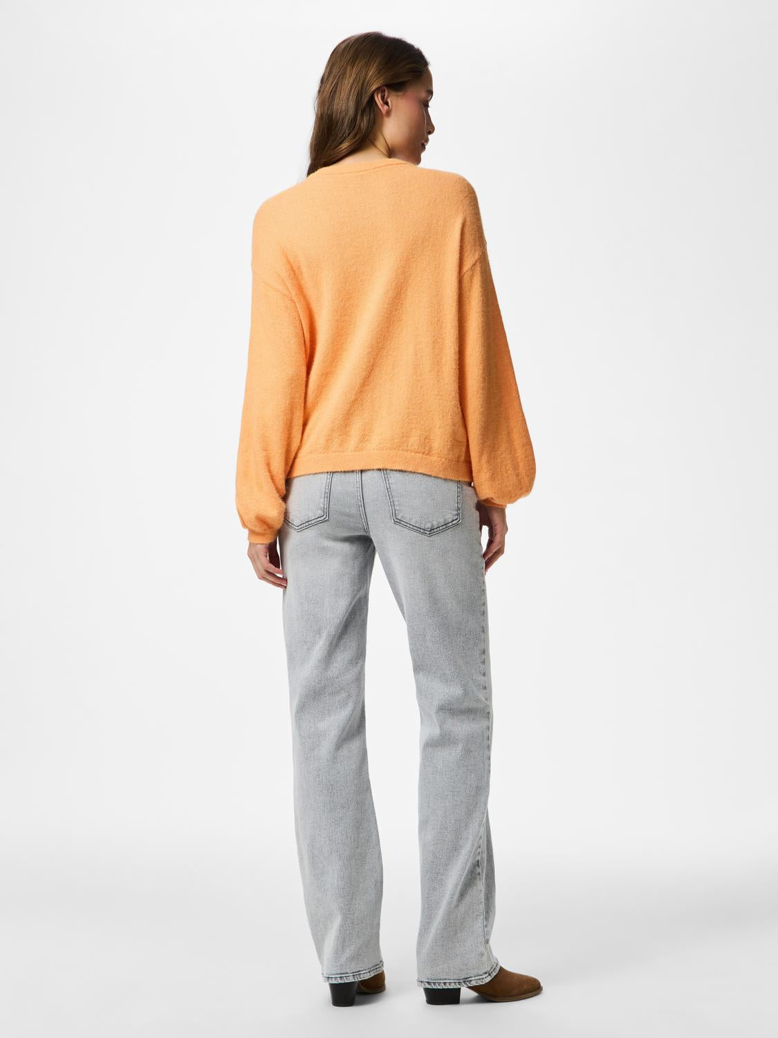 model_shot-back